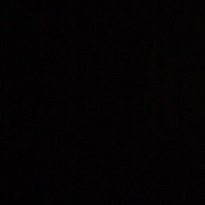 Meet your Posher, Madalyn